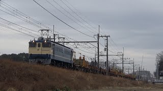 東北本線（EF210・185系・EF65工臨）2020.1.11