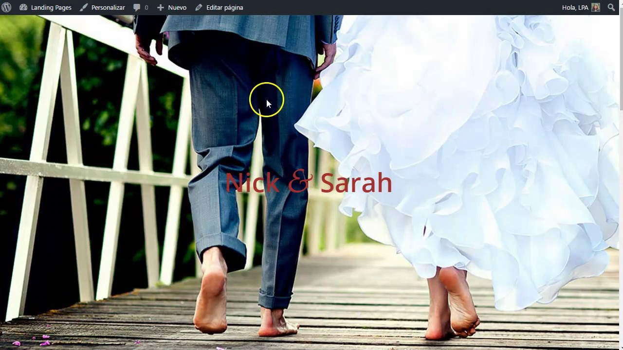 negocios por internet 2019 Como hacer Landing Pages