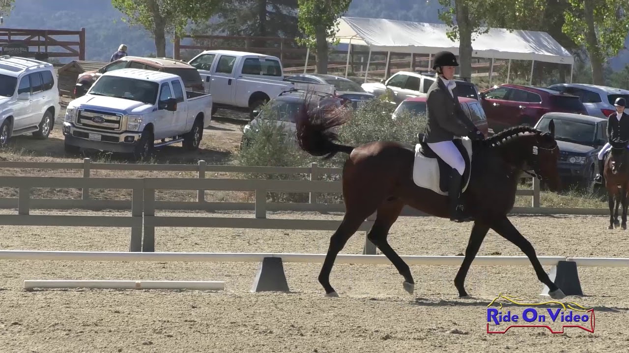 ponytail extensions 227D Christine Jones on Medal of Valor Novice AM Dressage Woodside Oct. 2019