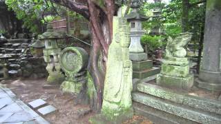 宇和島多賀神社(凸凹神社)に行ってきた。愛媛の秘宝館で珍百景