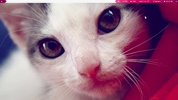 Using Django for Image Processing