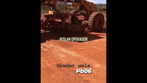 cat grader status shorts video