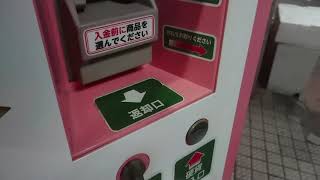 大垣駅前にある金券自販機で乗車券を購入してみた
