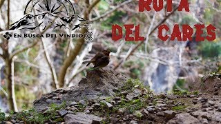 Senda del Cares
