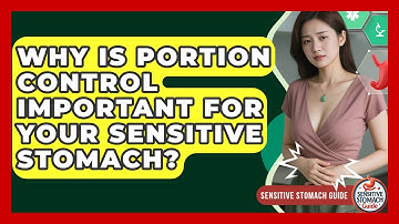 Why Is Portion Control Important For Your Sensitive Stomach? - Sensitive Stomach Guide