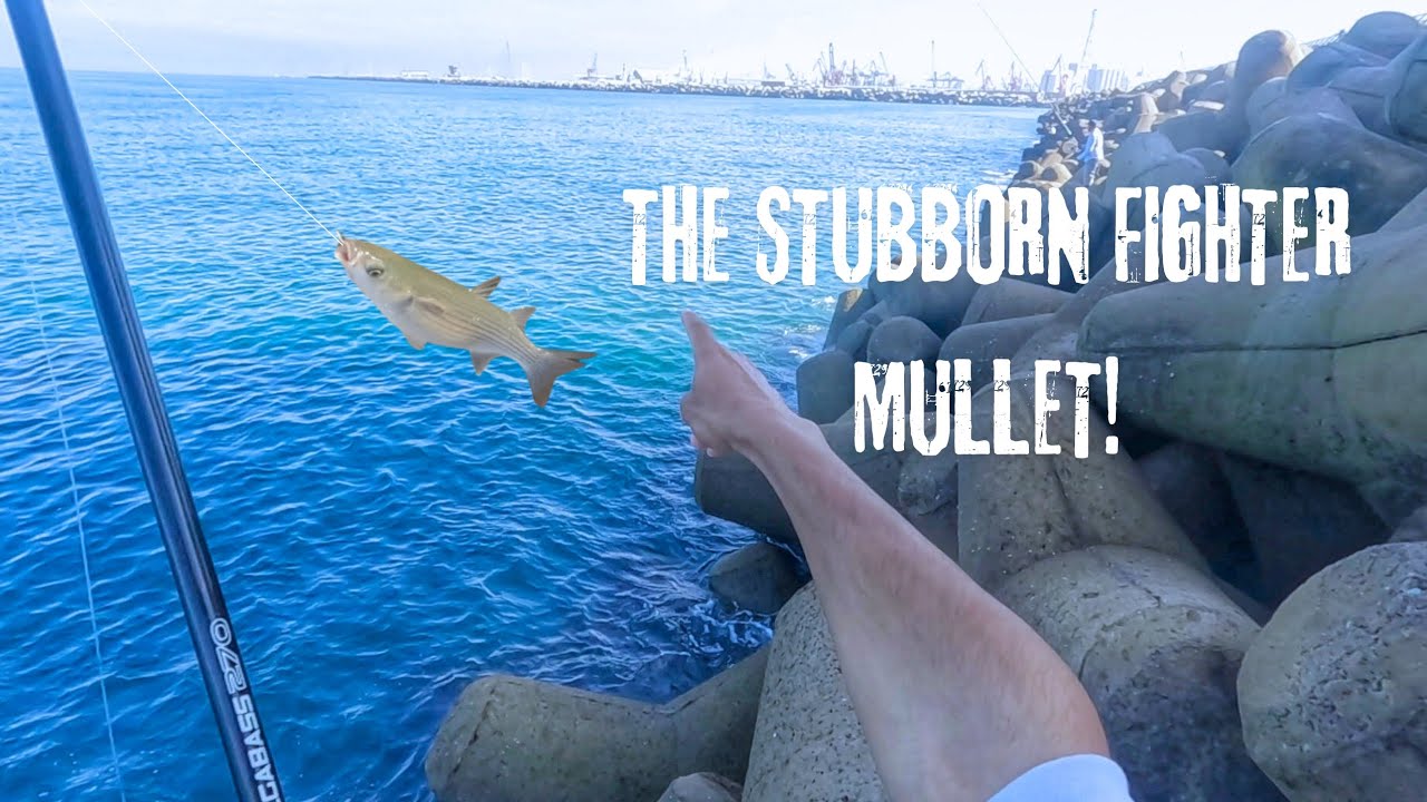 مغامرة صيد البوري في حفر الموت قرب مسجد الحسن الثاني fishing #mullet #morocco #beach #video