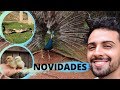 Novos Filhos da Samanta e Soltura de Marrecos no Lago | Gutejando