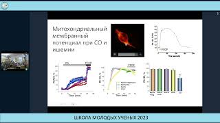 Механизм нейротоксичности при отравлении угарным газом - Абрамов Андрей Юрьевич