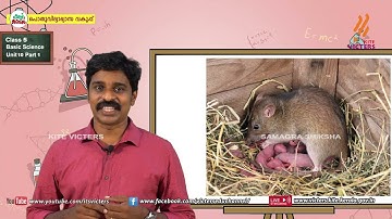 KITE VICTERS STD 05 Basic Science Class 32 (First Bell-ഫസ്റ്റ് ബെല്‍)