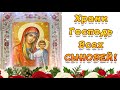 Храни Господь всех сыновей 🙏 22 ноября День сына