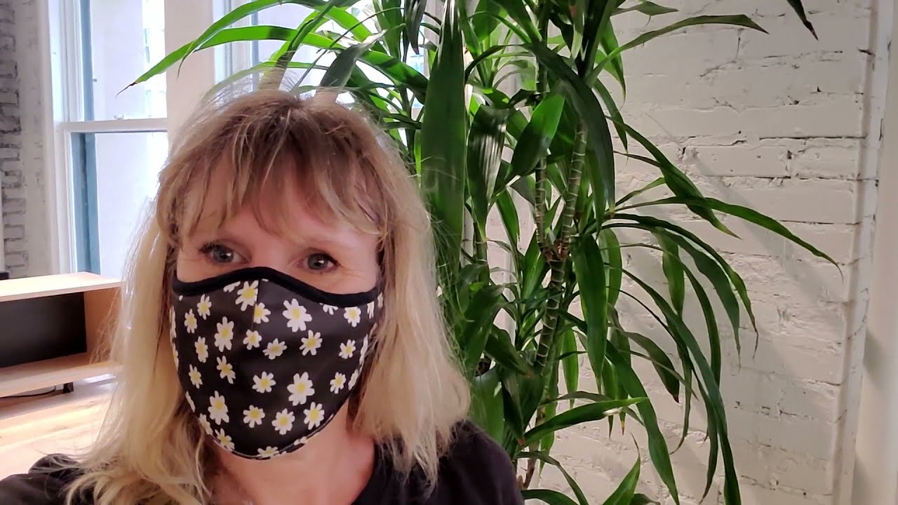 Caring for the Dracaena Lisa Cane Plant YouTube