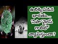 'నిపా' వైరస్ గాలిలో వ్యాపిస్తుందా | How To Transmission Nipah Virus | Ma...