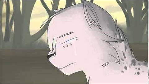 Ashfur! (Eucalyptus splash video)