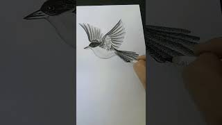 Sparrow On Tree Drawing.