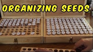 How To Store And Organize Your Seed Collection