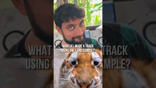 What if I made a track using only 1 sample🐅 #music #tiger #production #house #studio #animals