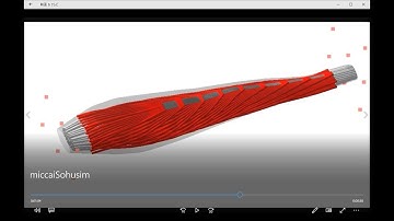 [MICCAI2014] Real-time Muscle Deformation via Decoupled Modeling of Solid and Muscle Fiber Mechanics