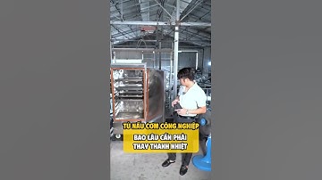 Bao lâu phải thay thanh nhiệt tủ nấu cơm? Câu trả lời khiến nhiều người bất ngờ