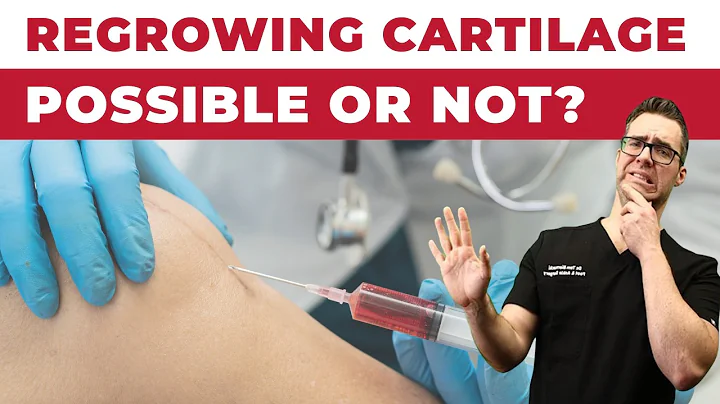 Can We Reverse Arthritis & Regrow Cartilage? [New Studies]