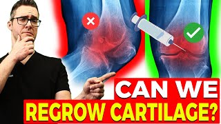 Can We Reverse Arthritis & Regrow Cartilage? [New Studies] screenshot 2