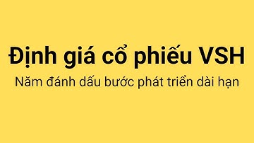 Định giá cổ phiếu VSH | Định giá cổ phiếu theo yêu cầu