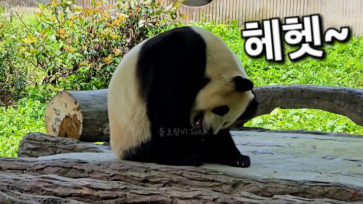 자다가 일어난 모습도 너무 귀여운 푸바오~ | 7월 14일 오후 제2편(푸바오 실시간)