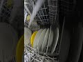 4k Miele Dishwasher | Sensor Wash Cycle - Dry Cycle | Vertical View