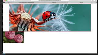 09 Slide Show Next Previous Button