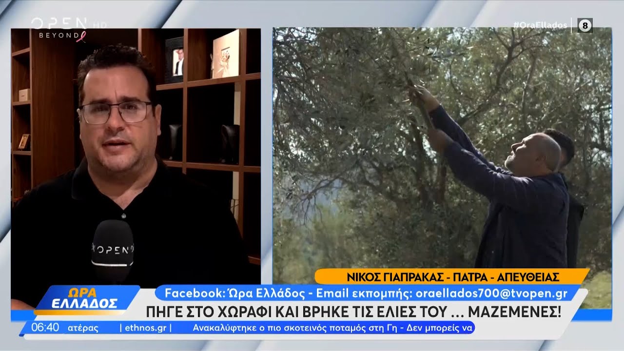 Πήγε στο χωράφι και βρήκε τις ελιές του... μαζεμένες | Ώρα Ελλάδος 25/10/2023 | OPEN TV