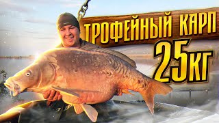 видео: ВОТ ЭТО УДАЧА!  ПОЧТИ ЧАС БОРЬБЫ С ОГРОМНЫМ КАРПОМ. Новый личный рекорд. Часть 2 картинка: ВОТ ЭТО УДАЧА!  ПОЧТИ ЧАС БОРЬБЫ С ОГРОМНЫМ КАРПОМ. Новый личный рекорд. Часть 2