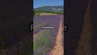 Why France is the Worlds Top Tourist Destination