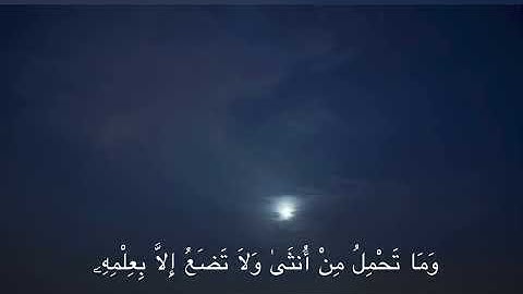 سورة فاطر بصوت القارئ ابراهيم بن محمد
