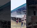 200명이 손으로 집을 들어 올리는 놀라운 순간 #worker #process #tradition #indonesia #teamwork