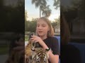 Tijgers 🐯