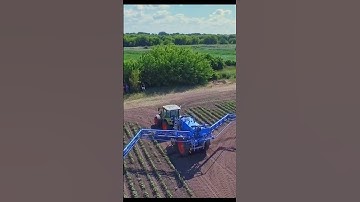 Artificial Intelligence in Agriculture