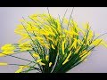 ABC TV | How To Make Grass Flower - Craft Tutorial