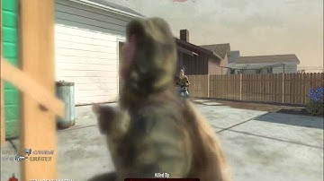 QuickScope & Tomahawk - Doublekill :D