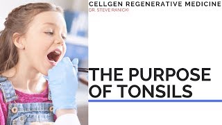 PURPOSE OF TONSILS