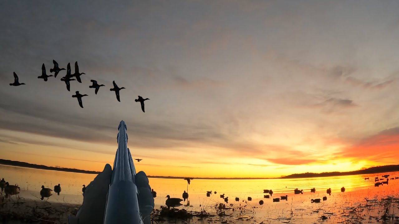 Duck Hunting 2023: What a Sunrise! 3 Man Limit! - YouTube