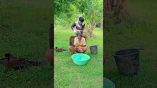 น้ำอะไรเย็นจัง #doghealth #funny #shortsviral #comedy #ตลกขำขำ #automobile #joker