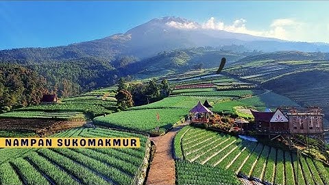 SUKOMAKMUR TERASERING SITEGONG MAGELANG || Pemandangan Eksotis Di Kaki Gunung Sumbing