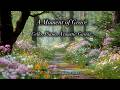 A Gentle Grace for Your Soul 🌿 Relaxing Cello, Piano & Acoustic Guitar Music