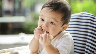 新刊『手づかみ離乳食　赤ちゃんが自分から食べる〈離乳法〉』