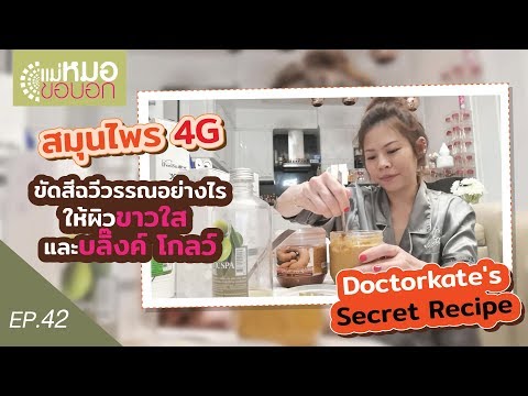 [EP.42] แม่หมอขอบอก รีเทิร์น : สมุนไพร 4G - Doctorkate's Secret Recipe