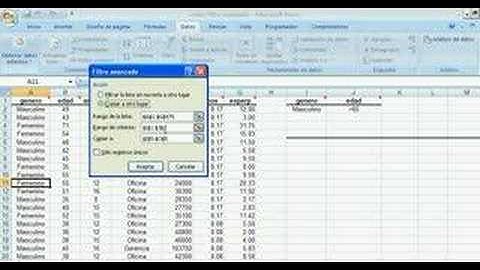 Filtros avanzados en Excel 2007