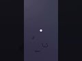 Perfect loop ball drop #Shorts