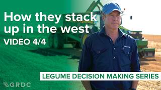 Legumes in WA: The bottom line