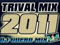 Trivial mix 2011