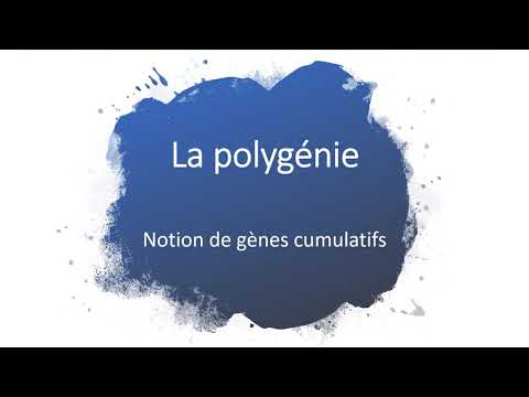 Vidéo: Neuroscientifique Dick Swaab: Les Opinions Politiques, Les Choix Amoureux Et La Croyance En Dieu Sont Inscrits Dans Nos Gènes - Vue Alternative