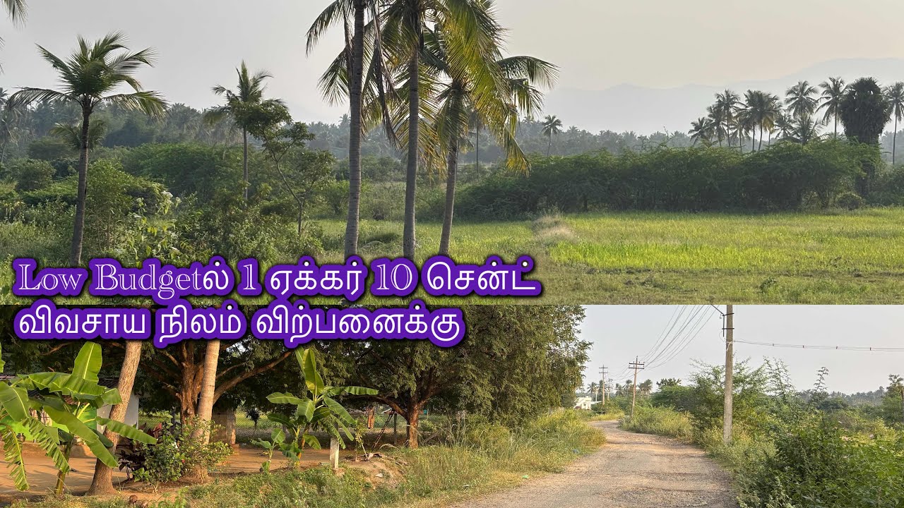 6379170190 திண்டுக்கல் to நத்தம் செல்லும் வழியில் சாணார்பட்டிக்கு அருகில் 1.10 ஏக்கர் விற்பனைக்கு 